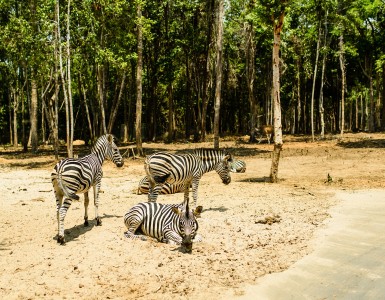 cong-vien-hoang-da-phu-quoc