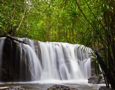 suoi-tranh