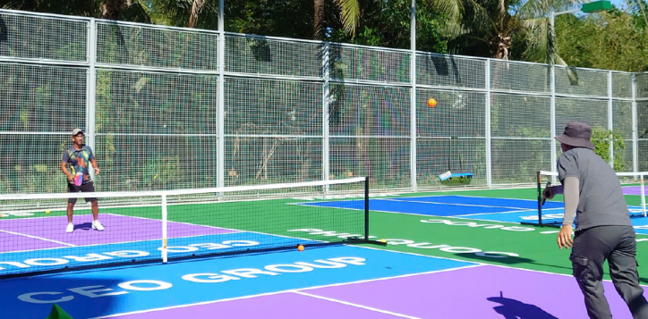 pickle-ball-03-2